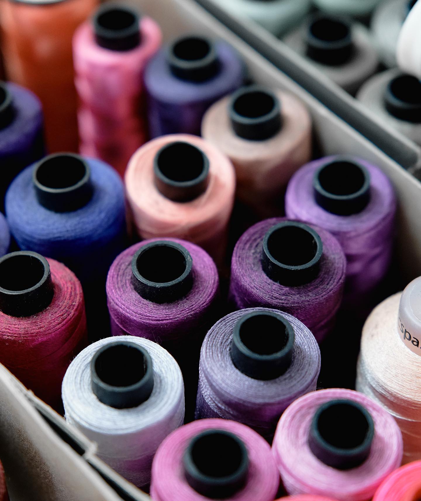 Giornata mondiale del Cotone